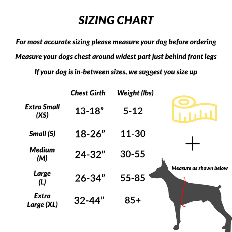 ShawnCo Essential Dog Harness, No-Pull Pet Vest with 3 Leash Clips, No Choke, Reflective, Adjustable and Padded, for Easy Walking and Training for Small, Medium and Large Dogs (Oceanic Blue, S) Oceanic Blue - PawsPlanet Australia