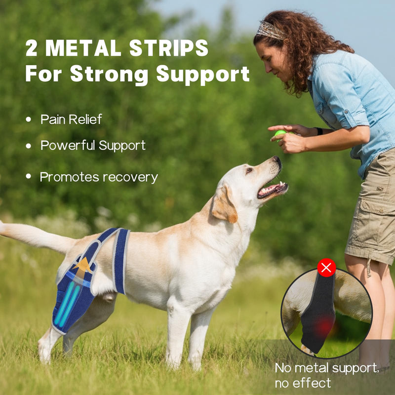 Dog Knee Brace for Torn ACL Hind Leg–Adjustable Support Dog Leg Brace for Back Leg with 2 Stabilizers, Hip Support to Reduces Pain Luxating Patella, Ligament Injuries, CCL (Blue, Left Leg, L)