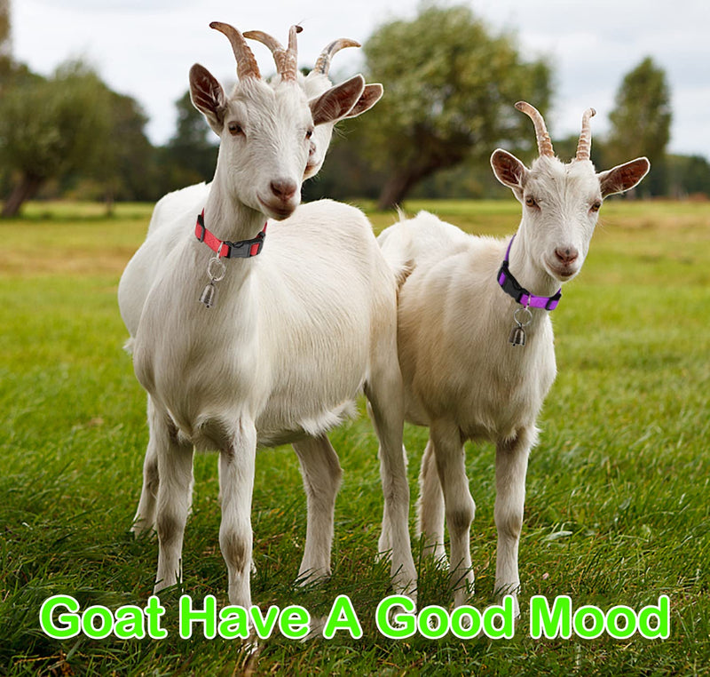 3 Pack Goat Collar with Bell, Sheep Collars with Bell, Grazing Copper Bells and Adjustable Nylon Collar Set for Small Farm Animal Sheep Cow Pet Goat Accessories 3 Pack - PawsPlanet Australia