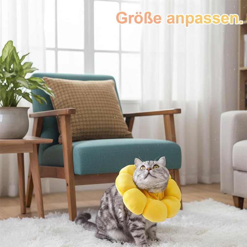 Cat Collar, Pack of 2 Sunflower and Toast Collar, Soft and Comfortable Collar for Cats and Small Dogs, Ideal After Surgery and for Photos