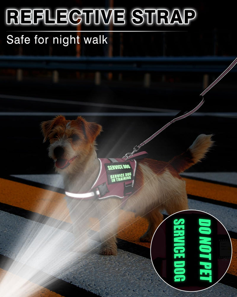 Service Dog Vest Harness and Leash Set+10 Patches for Puppy Small Dogs,Do Not Pet Emotional Support Dog Vest with 2 Soft Padded Handle for Everyday/Training (Pink XS) Extra-Small Pink