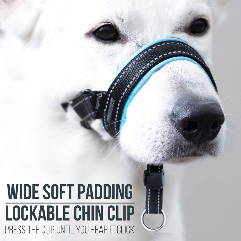 GoodBoy Dog Head Halter with Safety Strap - Stops Heavy Pulling On The Leash - Padded Headcollar for Small Medium and Large Dog Sizes - Head Collar Training Guide Included (Size 3, Blue) Size 3 (Pack of 1) Black Nylon / Blue Padding