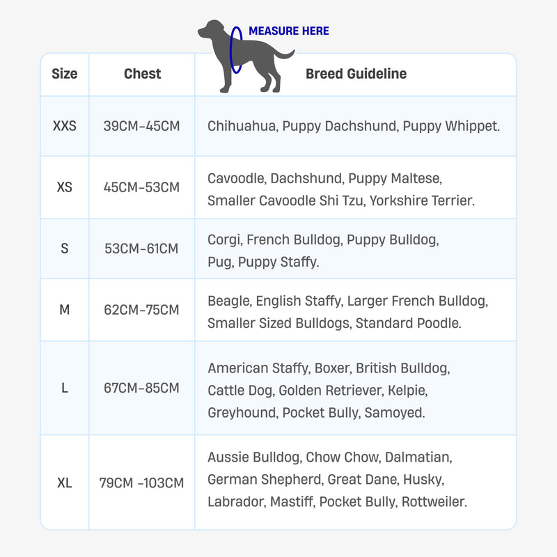 DF Co. Dog Harness | Chafe Resistant Webbing, Adjustable Neck & Chest, and Heavy Duty D-Ring | Sturdy, Comfortable, Easy to Use | Sky Blue, Size S Small - PawsPlanet Australia