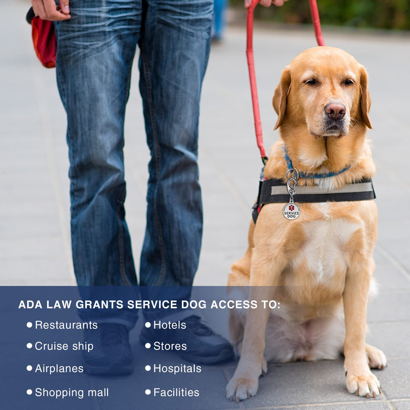 Service Dog Tag/ESA Animal Tag - Double Sided with Federal Protection & Red Medical Alert Symbol| Easily Attach to Collar, Harness, Vest | Service Dog Identification Tag Polished Stainless Steel Service Dog 1.3' - PawsPlanet Australia