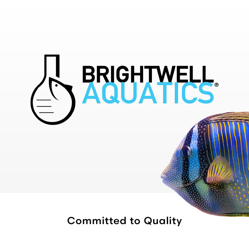 Brightwell Aquatics Rēplenish – Premium Trace & Minor Element Supplement for Marine Aquariums, Supports Healthy Fish, Corals, and Invertebrates, 250 ml 250-ml - PawsPlanet Australia