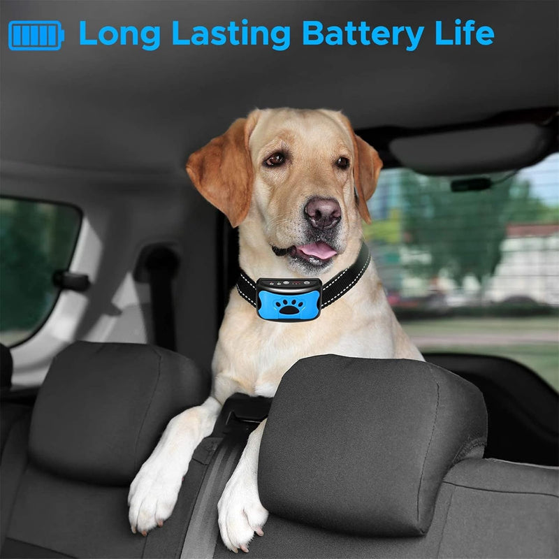 The Woof Whisperer Small Anti Bark Dog Collar STOP BARKING No Shock Vibration Sound Training Collar HUMANE & SAFE Automatic Anti-Bark Barking Deterrent Device - PawsPlanet Australia