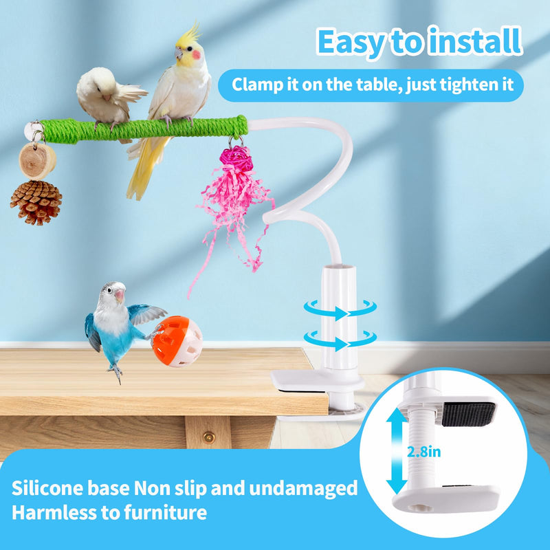 Bird Perch Stand with Swing, Desktop Bird Toy & Stand for Interacting, Interactive Playground for Sun Conure, Lovebirds, Conure, Budgie, Cockatiel - Non-Slip Adjustable Perch