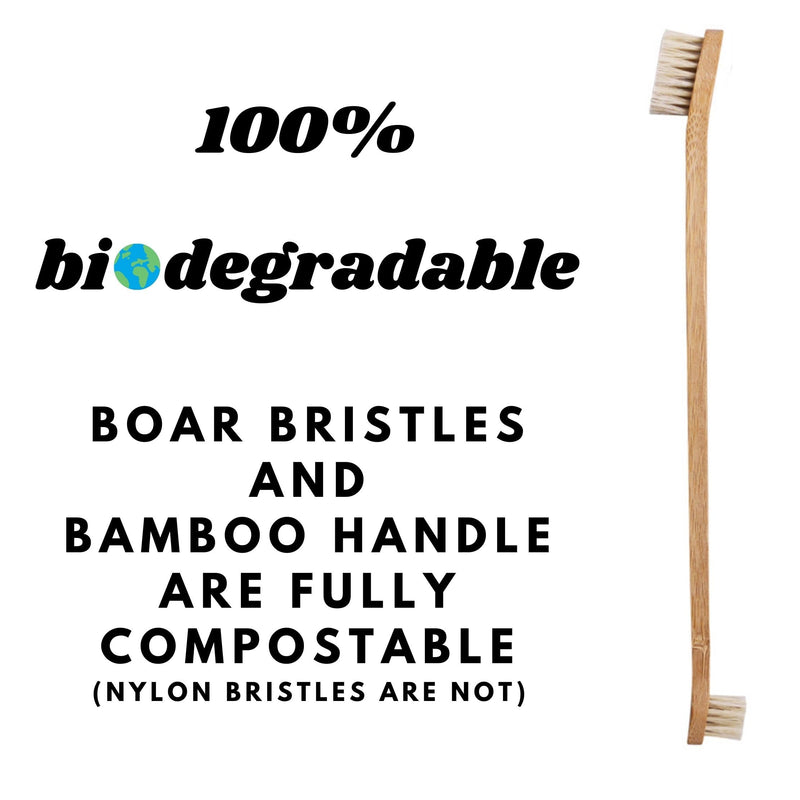 Gaia Guy Bamboo and Boar Bristle Double-Sided Pet Toothbrushes - 6-Pack - for Dogs, Cats and Planet - Plastic-Free and Nylon-Free Natural Bristles - No Microplastics - PawsPlanet Australia