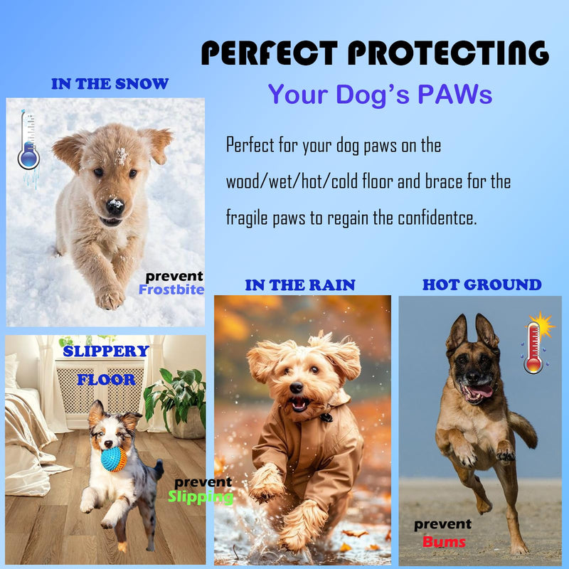 Dog Paw Protector Anti-Slip Pads, Toe Grips for Dogs from Slipping On Hardwood Floors, Stronger Self-Adhesive Paw Pad Provide Traction for Senior, Injured Dogs (5 Sets - 10 Pads) (M) Medium - PawsPlanet Australia