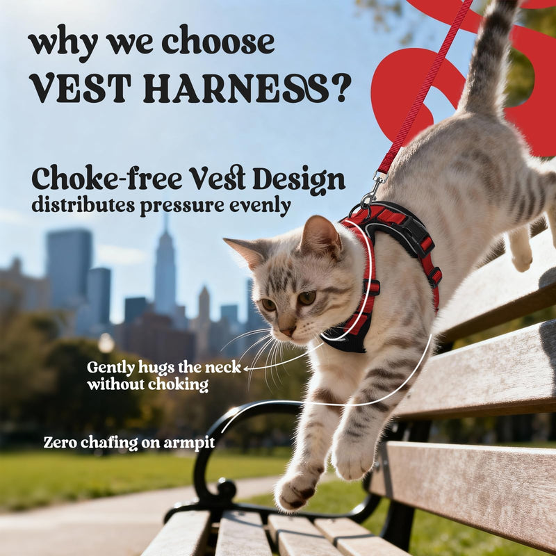 rabbitgoo Cat Harness and Lead Set, Escape Proof Kitten Harness with Leash, Metal Ring, Lightweight Soft, Reflective Adjustable Vest for Small Cat Walking Travel XS (Pack of 1), Black & Red XS (Pack of 1)