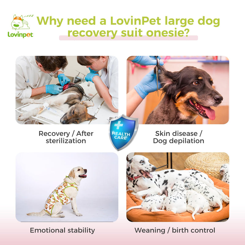 LovinPet Dog Recovery Suit - Medium Large - After Surgery Big Dog Recovery Suit Anti Licking Abdominal Wound Surgical Clothes Post-Operative Vest E-Collar Alternative,Monkey,Green,L Green collar/White - PawsPlanet Australia