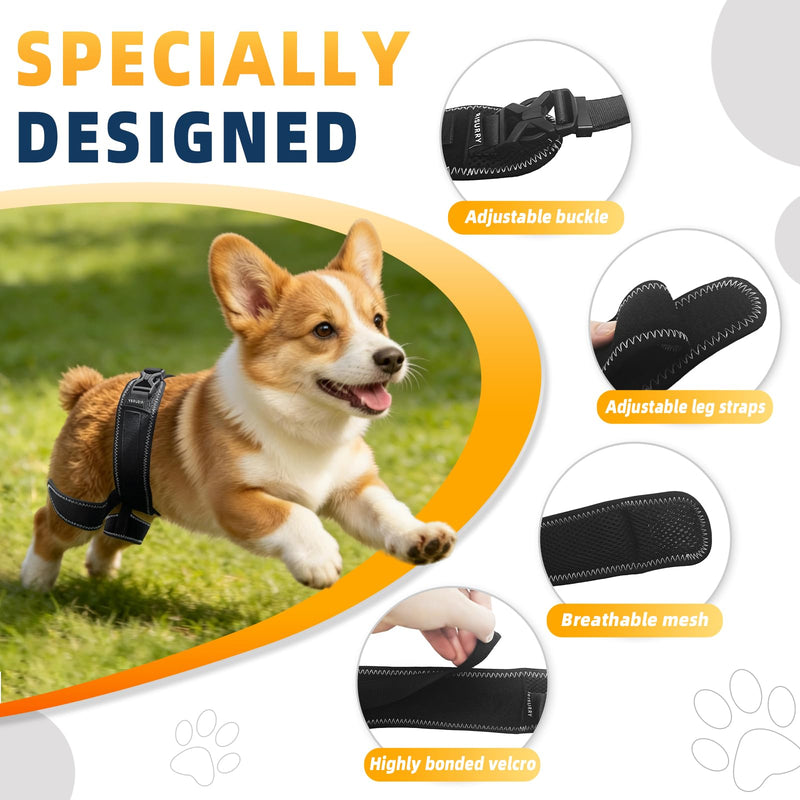 CHAMIN Dog Hip Brace for Hip Dysplasia – Adjustable Support Harness for Dogs, Relieves Joint Pain & Arthritis, Stabilizes Back Legs, Prevents Hip Issues, Orthopedic Support(L) Large