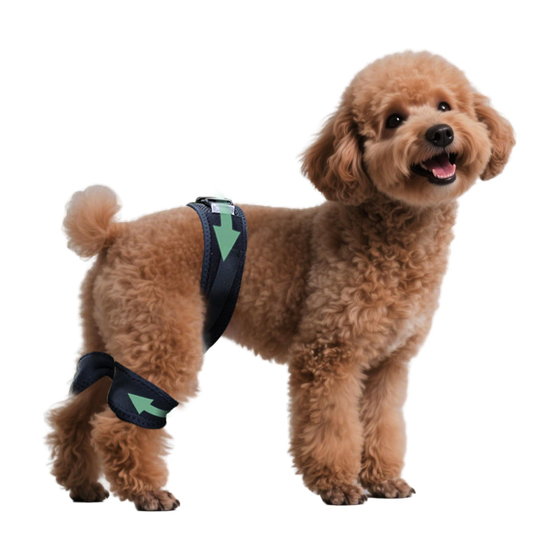 Adjustable Dog Leg Brace for Hip Dysplasia,Breathable & Supportive Dog Hip Brace for Pain Relief, Preventing and Improving Joint Dysplasia Hip Brace for Dogs,S Small