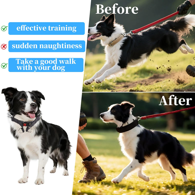Dog Training Collar, Stainless Steel Collar with Quick Release Buckle, Adjustable Comfort Tip with Nylon Cover for Small Medium Large Dogs(Black,M(17-20”Neck,3mm)) M - PawsPlanet Australia