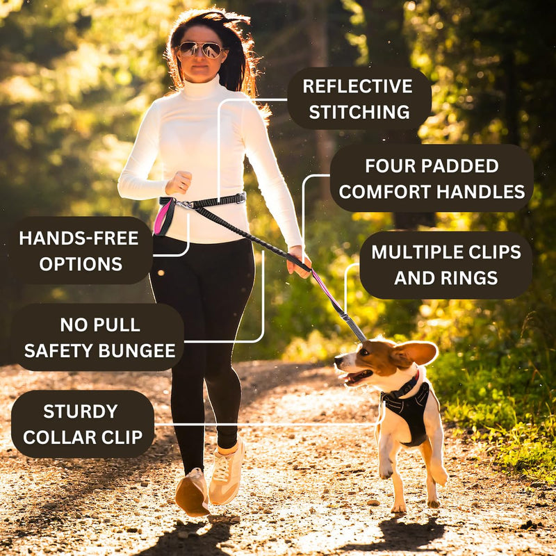 Anti Pull Dog Leash - Heavy Duty, 6ft, Sturdy Bungee, 4 Padded Handles, Strong Carabiner Clips and Rings, Highly Reflective, Poop Bag Holder + Treat Pouch, Large Breeds by Leashrr 2.0 (Royal Blue) Royal Blue - PawsPlanet Australia