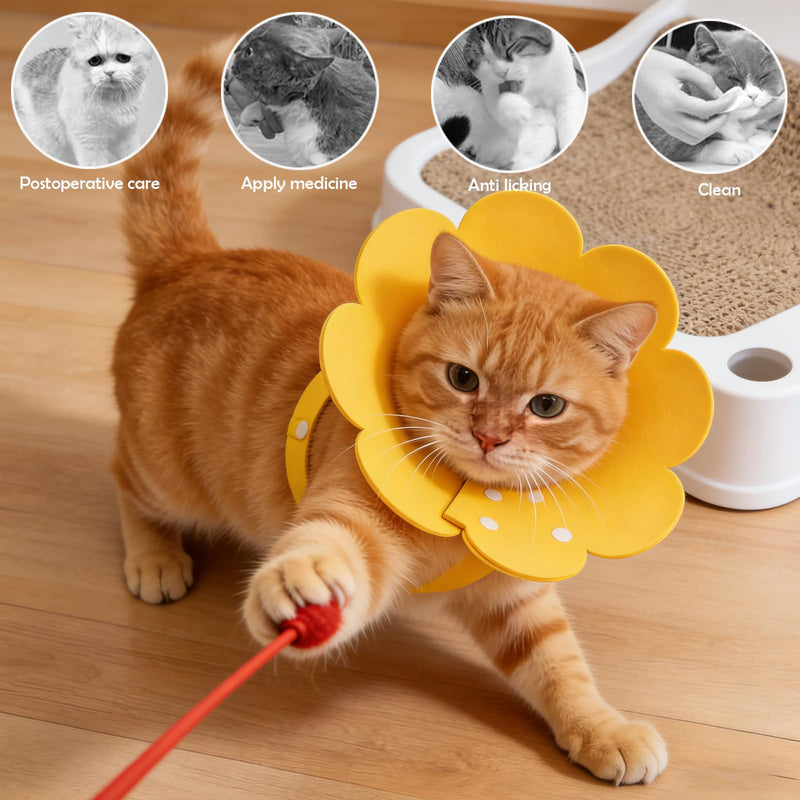 4 Pieces Cat Protective Collar, Cat Neck Brace, Pet Neck Brace Flower Shape, Soft Protective Collars for Cats and Dogs, Yellow, Orange, Pink and Blue