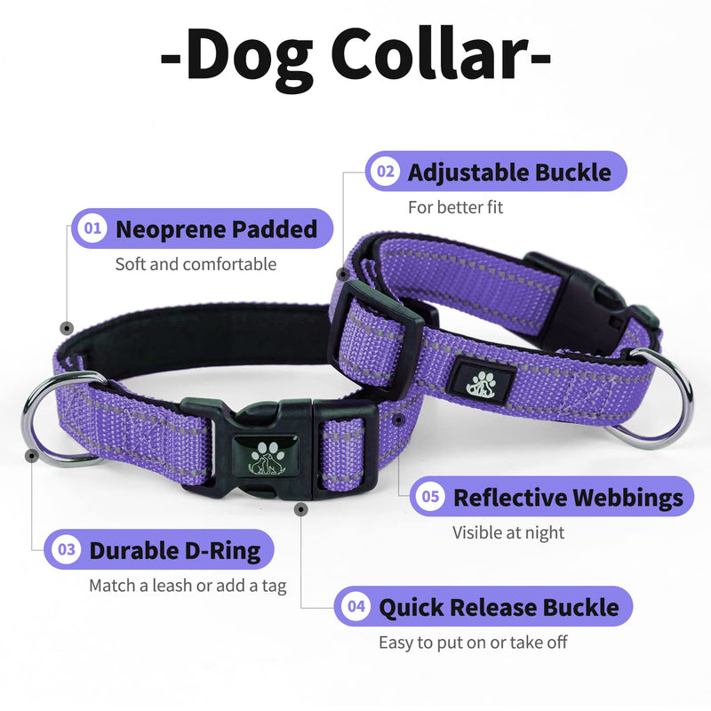 IVY&LANE Dog Harness Set Bundle Dog Collar and Leash Set | Small | Purple - PawsPlanet Australia