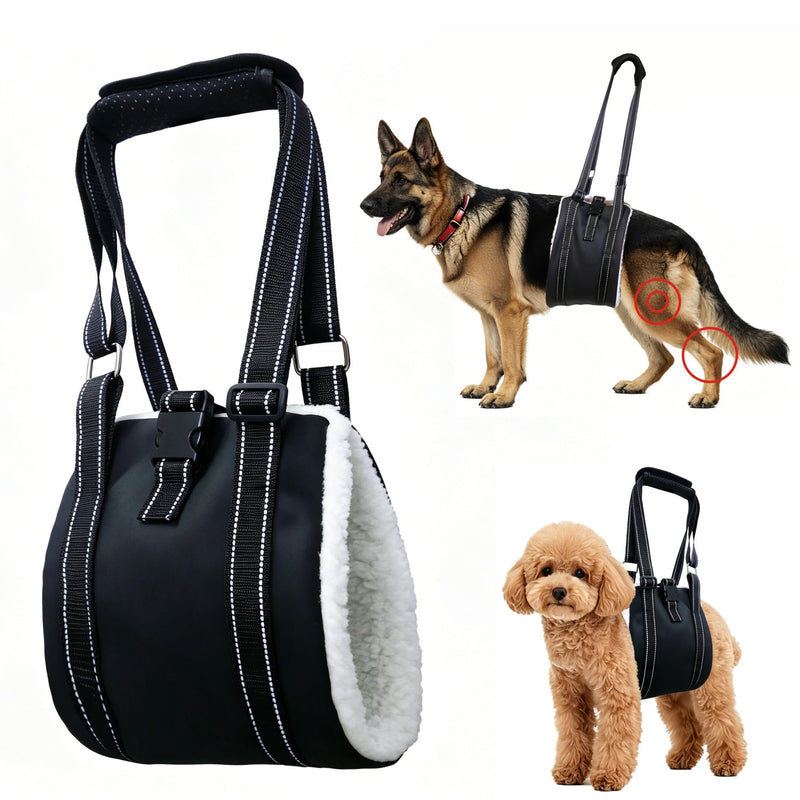 Dog Harness for hind Legs and hind Body, Hip Support Harness, Rear Leg Assist for Senior Dogs (Large) for 46-100lbs