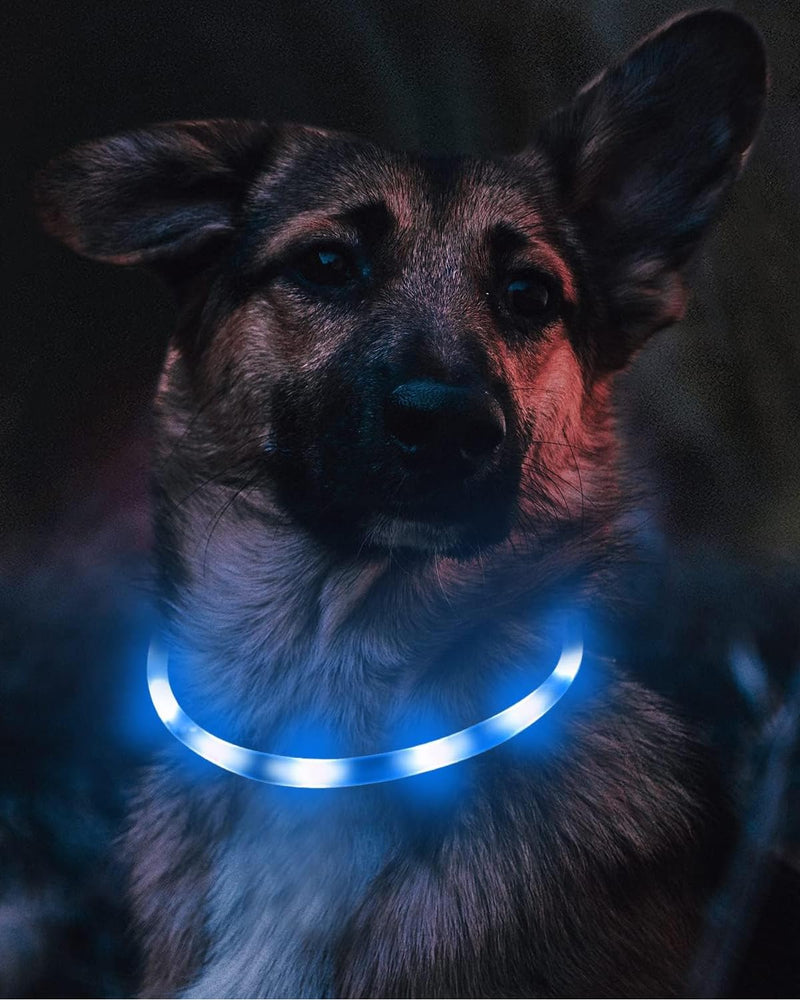Joytale Light Up Dog Collar, Rechargeable Rainproof LED Collar for Night Walking Safety, Soft Silicone Glow in The Dark, Suitable for Small Medium Large Dogs, Blue 8-27.5 Inch (Pack of 1)