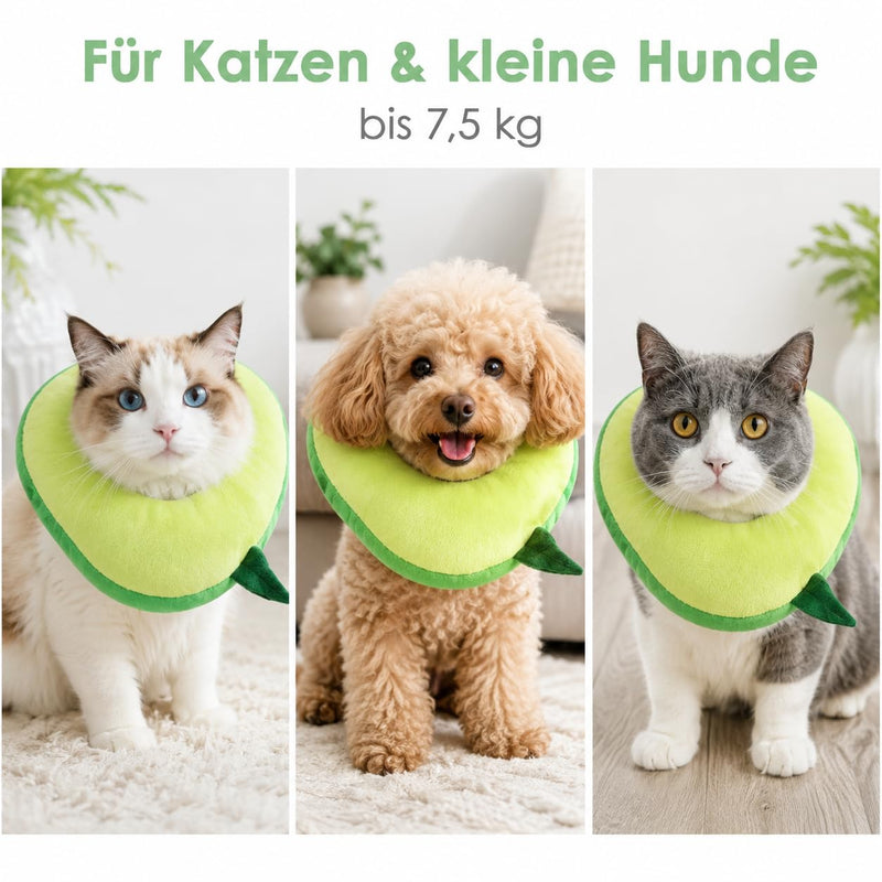 Soft Cat Cone Collar, Cat Recovery Collar, Dog Cone for Small Dogs, Adjustable Avocado Neck Pillow, Stop Licking after Surgery, Washable Size L, 19 x 19 cm, Neck up to 28 cm, Home Aftercare
