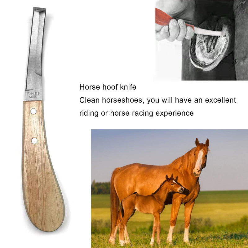 Farrier Tools, 8 Inch Farrier Tool Kits (8 Piece) Goat Hoof Trimmers Mini Rasp Hoof File Goat Pig Equine Metal Shears Professional Farriers Hoof Nipper Cutter Handle Knife Goat Supplies