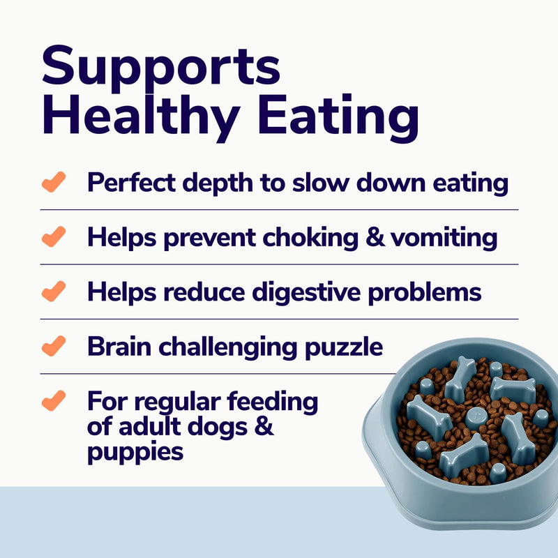 Slow Feeder Dog Bowls for Fast Eaters - For Small, Medium Sized Dogs - Dog Puzzle Maze Helps Slow Down Eating - Adult, Puppy Food Bowl for Bloat Stop - Non-Slip Dog Slow Feeder Bowl (Blue) Blue - PawsPlanet Australia