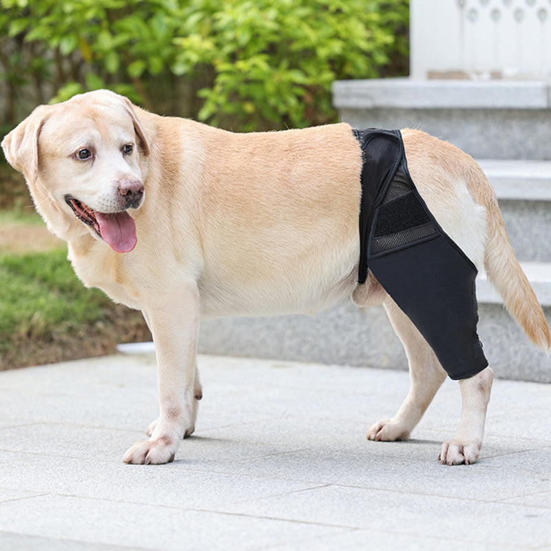 (S) Dog Knee Brace for Cruciate Ligament Injury Joint Pain Muscle Soreness. Adjustable Dog Leg Brace, Dog Support Brace,Dog Hind Leg Support. - PawsPlanet Australia