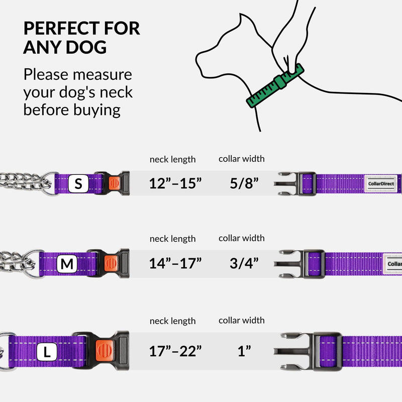 CollarDirect Martingale Dog Collar with Stainless Steel Chain and Quick Release Buckle - Reflective Collar for Large, Medium, Small Dogs - Purple, Medium (Neck Size 14"-17")