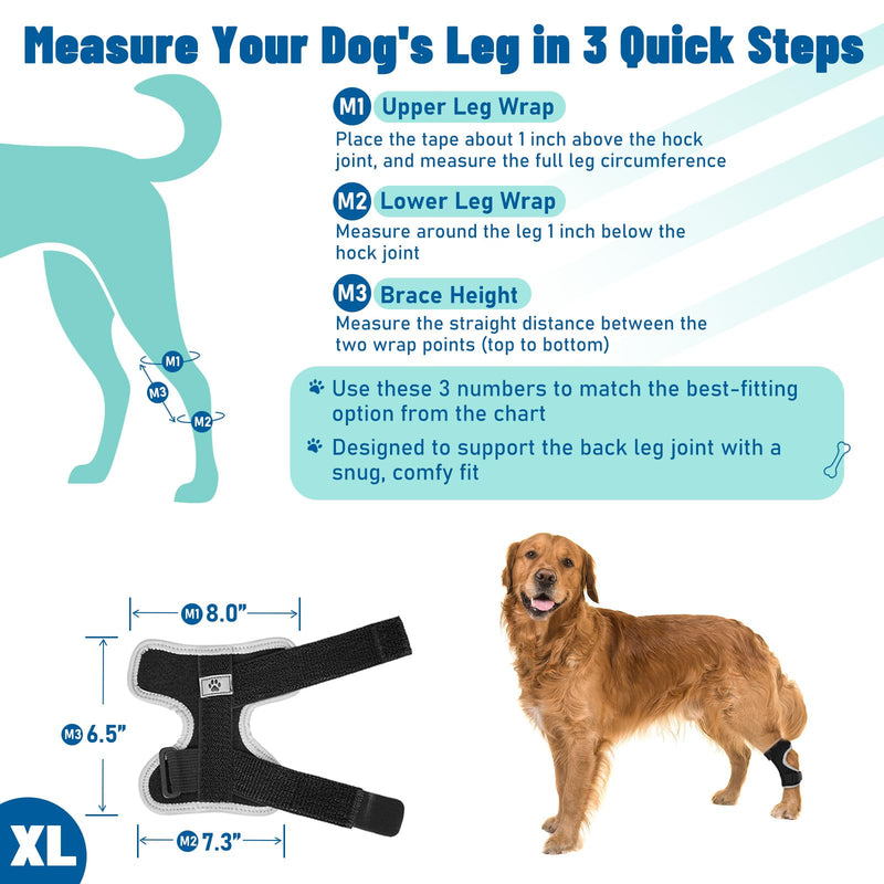 Dog Leg Braces for Back & Front Legs- Dog Hock & Ankle Joint Brace for Weak Back Legs with 2 Metal Strips, Reflective Trim for Sprain, Injury, Arthritis, Wound Recovery,Black,XL Black XL