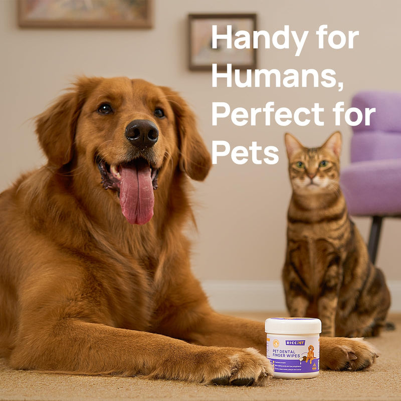HICC Pet Teeth Cleaning Wipes for Dogs & Cats, Remove Bad Breath by Removing Plaque and Tartar Buildup No-Rinse Dog Finger Toothbrush, Disposable Gentle Cleaning & Gum Care Pet Wipes, 100 Counts Unscented 50 Count (Pack of 2) - PawsPlanet Australia