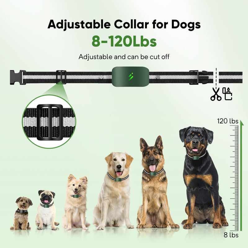 Dog Shock Collar with 10 Levels Beep, 2680FT 4 Modes Electric Dog Training Collar with Remote, Waterproof Dog Shocker for Large Medium Dogs (8-120Lbs) Green - PawsPlanet Australia