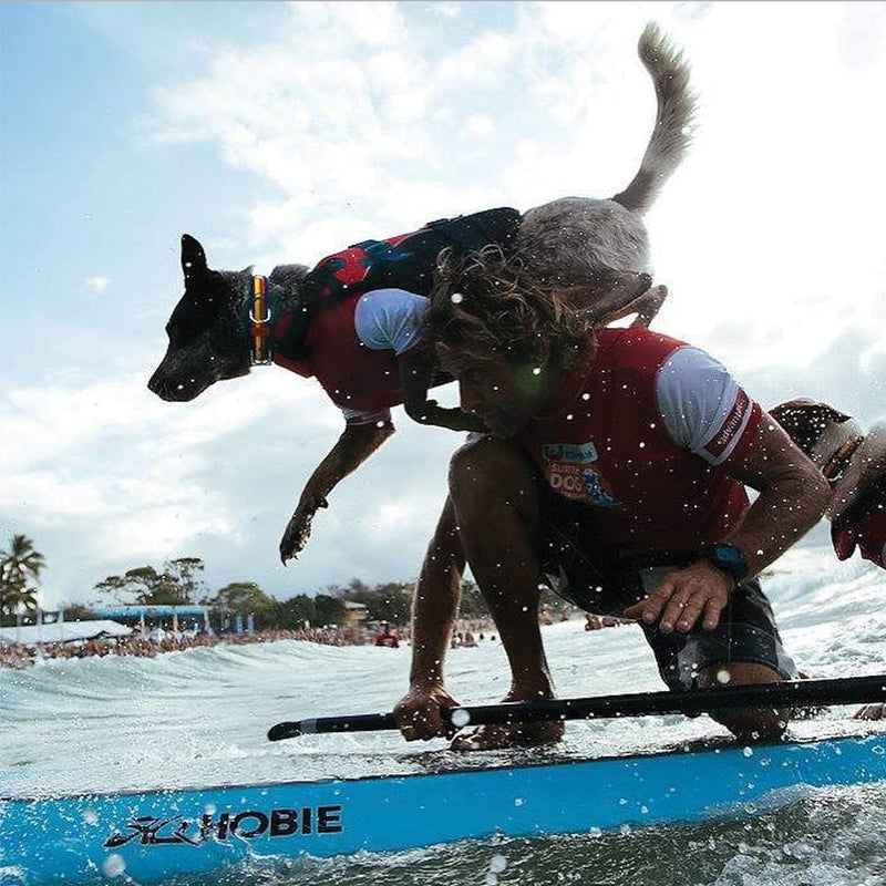 EzyDog Premium Doggy Flotation Device (DFD) - Adjustable Dog Life Jacket Preserver with Reflective Trim - Durable Grab Handle for Safety and Protection - 50% More Flotation Material (Medium, Red) 1 Medium - PawsPlanet Australia