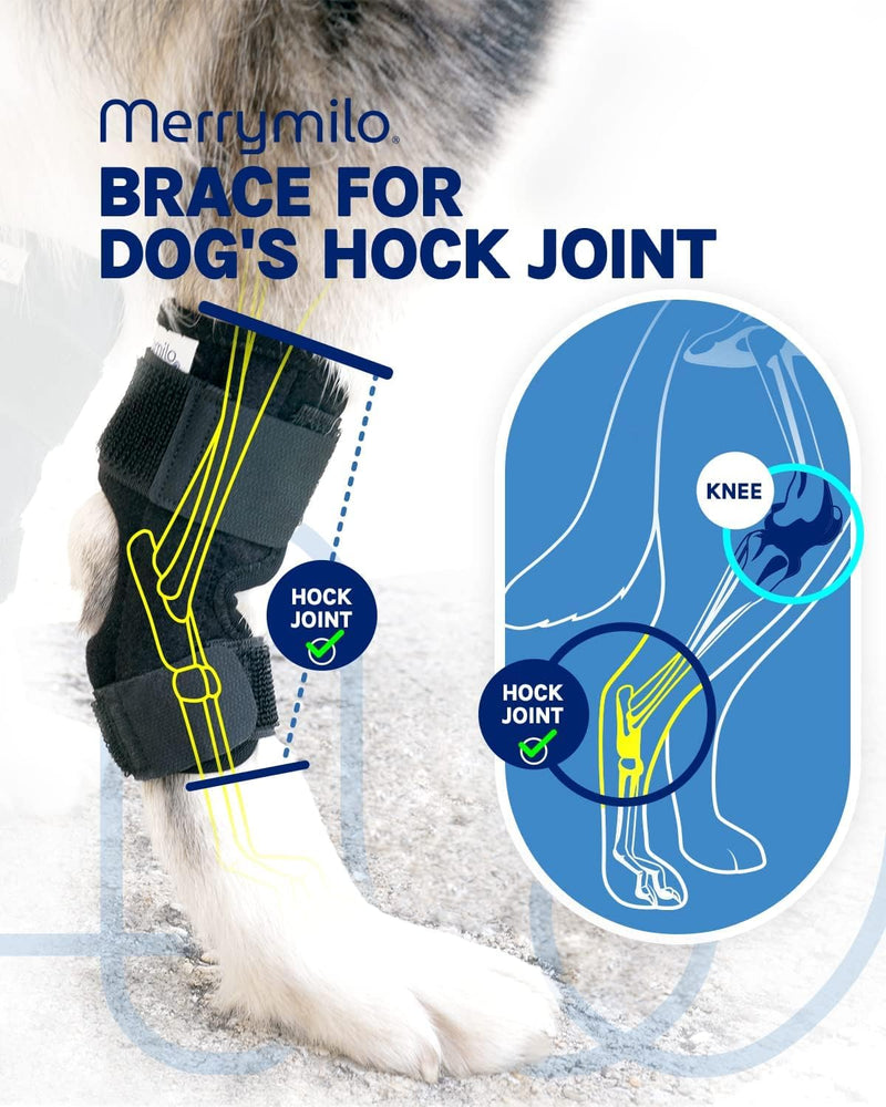 Dog Leg Brace for Rear Hock & Ankle, Canine Hind Leg Joint Compression Wrap for Torn ACL & CCL, Injury and Sprain Protection, Wound Care and Loss of Stability 1 Pair, Size: Large black - PawsPlanet Australia
