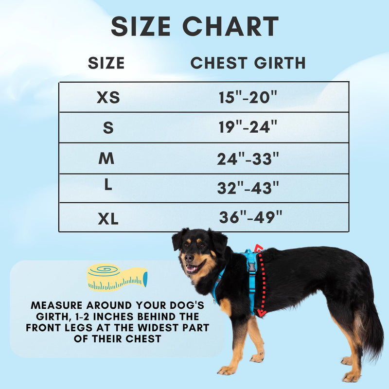 ShawnCo Basecamp Dog Harness, No-Pull Pet Vest with 3 Leash Clips, Padded, Reflective, Lightweight and Adjustable Harness with Handle for Small, Medium and Large Dogs (Midnight, S) Midnight - PawsPlanet Australia