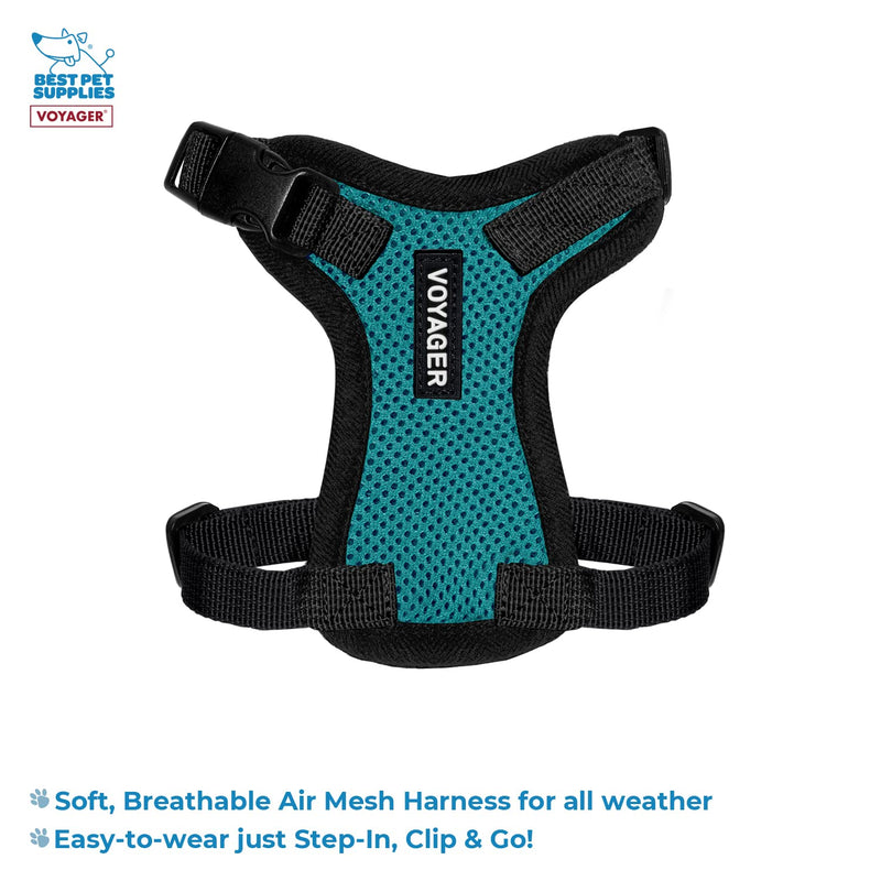 Voyager Step-in Lock Adjustable Cat Harness w. Cat Leash Combo Set with Neoprene Handle 5ft - Supports Small, Medium and Large Breed Cats by Best Pet Supplies - Turquoise/Black Trim, XXS - PawsPlanet Australia