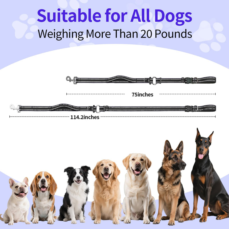 Hands-Free Dog Leash with Adjustable Length 6-9FT + Dual Padded Handles Reflective Safety for Walking, Jogging & Training | Suitable for Medium to Large Dogs & Puppies Black-L L - PawsPlanet Australia
