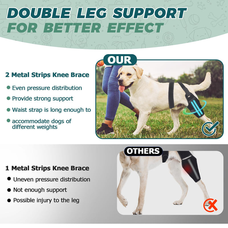 Dog Knee Brace for Torn Acl Hind Legs – Adjustable Support Brace with 2 Stabilizer Support to Reduces Pain, Ligament Injuries & Luxating Patella for Small Medium Large Dogs (Right Leg, S)