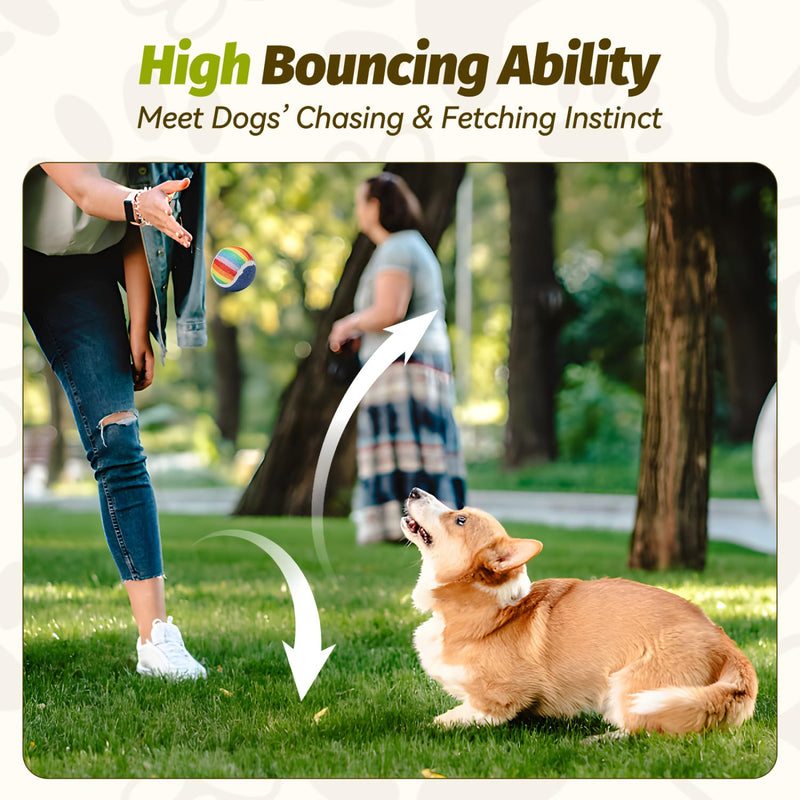 Nobleza Squeaky Tennis Balls for Dogs, 12 Pack 2.5“ Floatable Dog Tennis Balls for Small Medium Dogs, Training Safe Natural Rubber Dog Toys Balls for Dogs to Fetch Exercise, Rainbow - PawsPlanet Australia