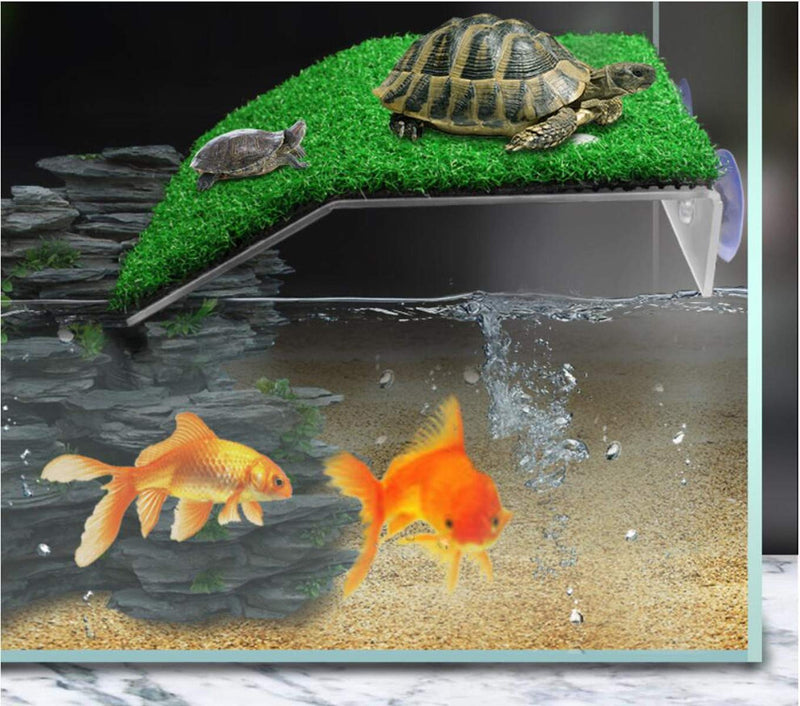 Lawn Turtle Basking Platform, Turtle Resting Basking Platform, Tortoise Ramp Climbing Reptile Ladder Resting Terrace Fish Tank Aquarium Turtle Dock Floating Décor for Frog Terrapin (Medium) Medium - PawsPlanet Australia