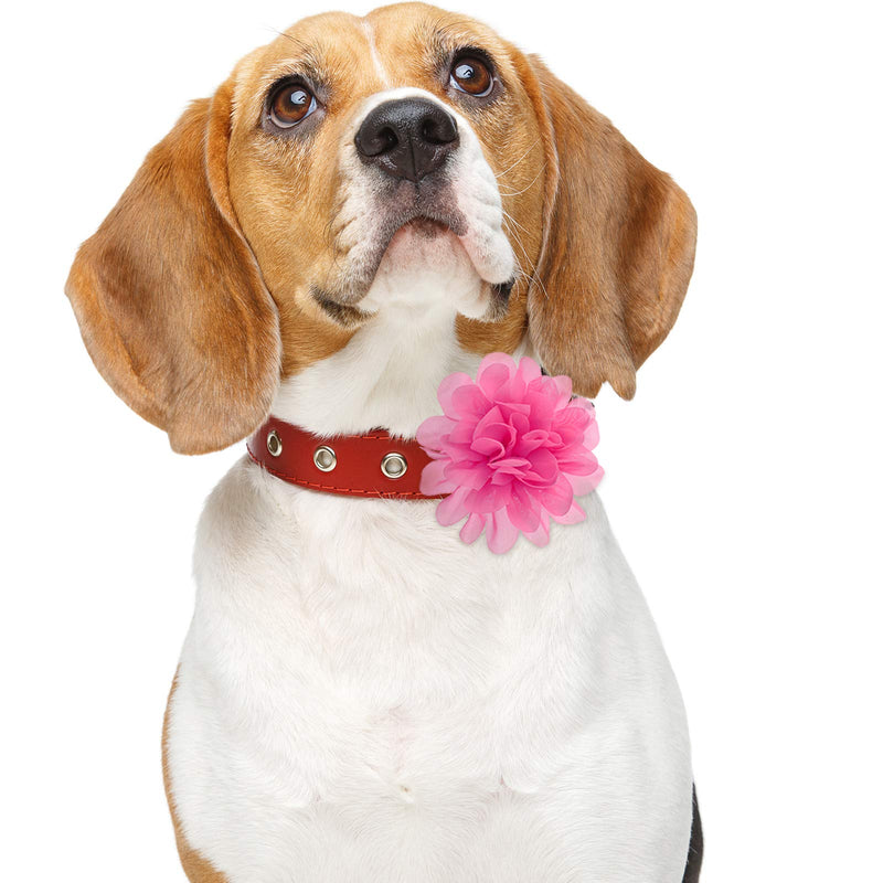 WILLBOND 30 Pieces Dog Collar Flowers Bulk Pet Flower Bow Ties Multi-Color Dog Charms Flower for Cat Puppy Dog Collar Grooming Accessories 30 Colors 10 cm - PawsPlanet Australia