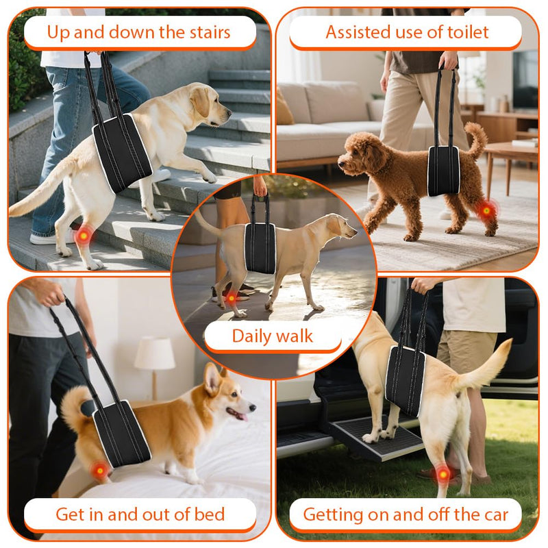 Dog Mobility Aids Support Sling For Back Legs,Lifting Sling for Pets with Handle,Adjustable Lifting Harness for Old Dog,Weak Rear Legs,with Injuries,Disabilities(For Medium Dog) For Medium Dog