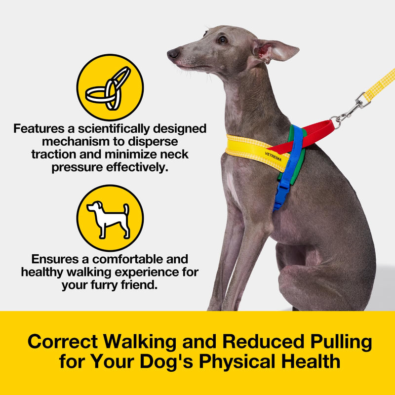 VETRESKA MoMA Dog Harness for Medium Large Dogs, Easy Walk Dog Harness and Leash Set, No Pull Dog Vest Harness for Walking and Training, Adjustable, Take Control & Anti-Twist Pet Lead Combo(Yellow, M) M(Chest: 24.0"-31.9") Chroma Yellow - PawsPlanet Australia