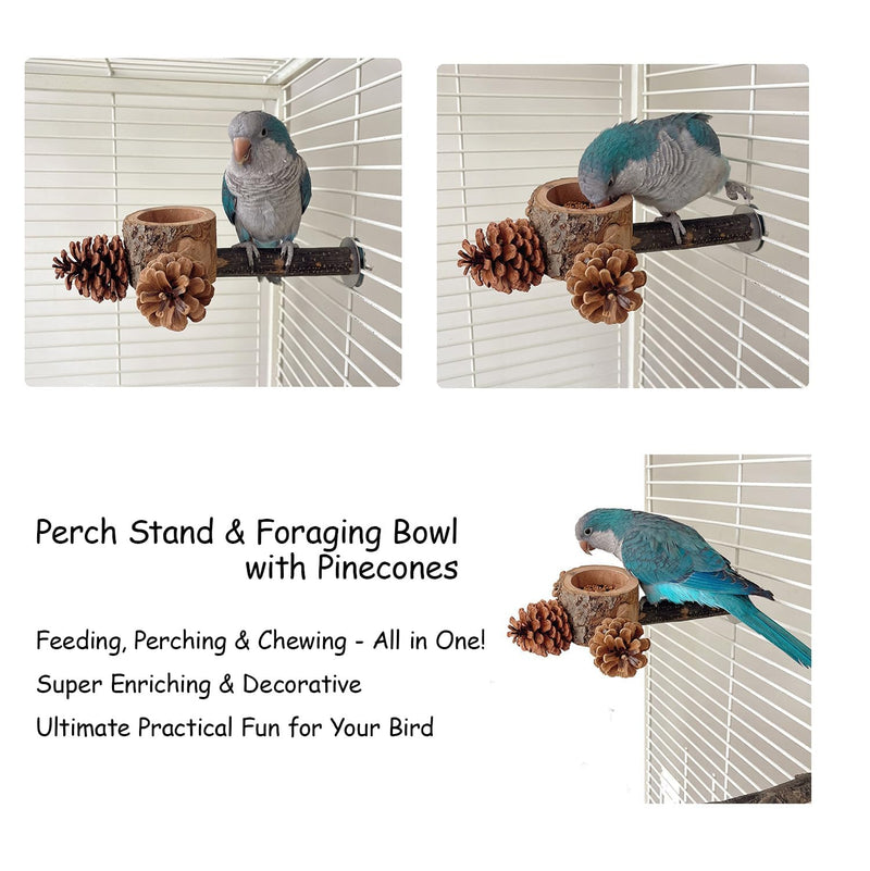 Bird Perch with Feeder for Cage & Chew Toys Pinecones - Bird Cage Accessories 100% Natural & Durable for Cockatiel, Conure, Budgie, Lovebird, Parakeet - Parrot Food Treats Bowl for Foraging 1 pack perch bowl
