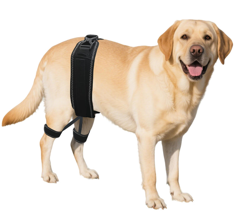 Dog Hip Orthotics Brace, Dog Hip Dysplasia Brace, Support for Hip Dysplasia, Arthritis, Luxating Patella, Back Leg limping, Relieve Hip Pain and Orthodontic Assistance - Large L
