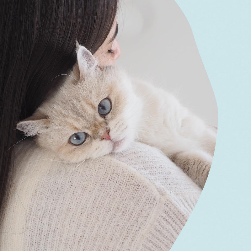 GimCat Nutri Dental Bites - Delicious Snack with a Targeted Formula for the Wellbeing of Your Cat - 1 Bag (1 x 425 g)