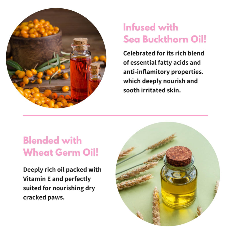 Toe Bean Oil: Premium Paw & Nail Cleansing Treatment, 100% Natural, Safe for All Cats and Dogs, 2 Fl. Oz. - PawsPlanet Australia