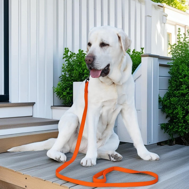 33 Ft Dog Training Leash,Slip Traction Rope Waterproof Dog Leashes for Small Medium and Large Dogs,Heavy Duty Long Leash for Dog Walking,Running,Training,Orange Orange 33 Ft - PawsPlanet Australia