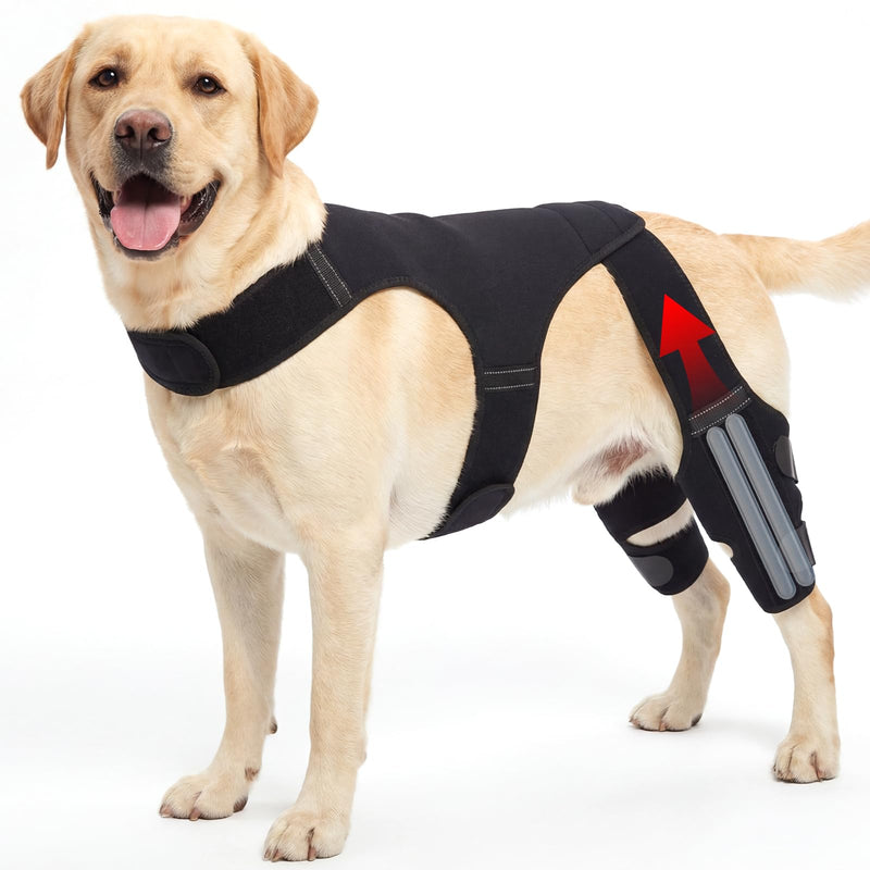 Dog Knee Brace for Back Leg Hind Leg ACL Dog Brace Support Adjustable Double Dog Leg Brace with Stabilizers, Helps with Torn CCL, Luxating Patella, Ligament Injuries,L L Black 1