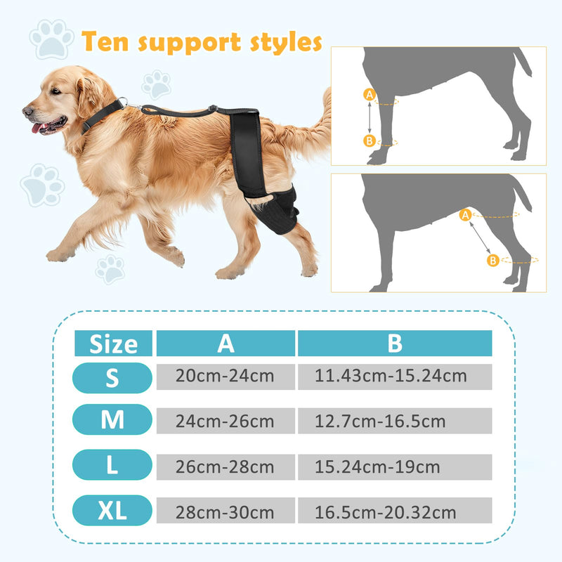 Dog Knee Brace for Torn ACL Hind Leg， Supports Large and Small Dogs with CCL, Cruciate Ligament Injury, Osteoarthritis Relief, Enhances Mobility and Better Recovery (M) Medium - PawsPlanet Australia