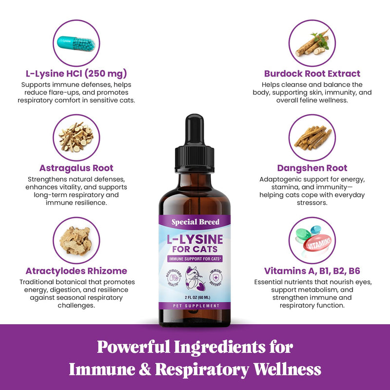 L-Lysine Supplement for Cats & Kittens – Immune Support Liquid for Feline Respiratory Health, Sneezing, Runny Nose & Watery Eyes – 250mg Lysine Cat Drops with Vitamins Complex – Chicken Flavor